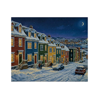 Christmas Rowhouses Newfoundland Fleece Throw with Jellybean Row Scene - 50